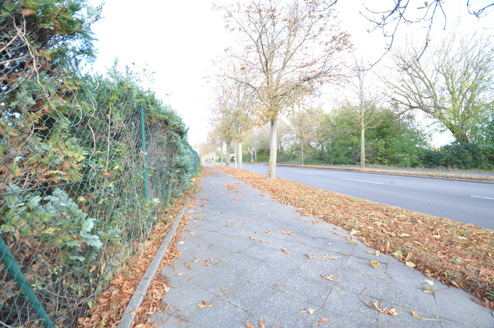 Straße links