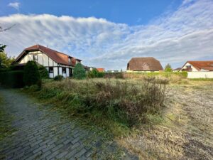 Bild II
