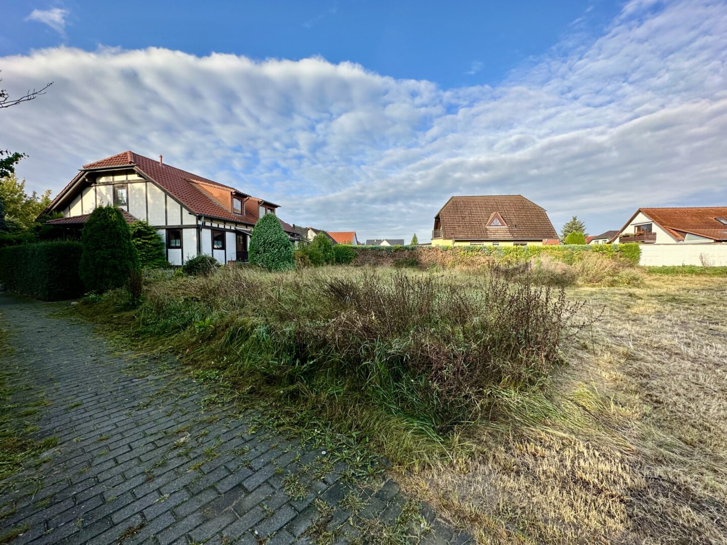 Bild II