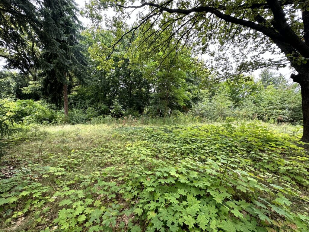 Grundstücksansicht II