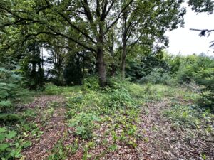 Weitere Ansicht II