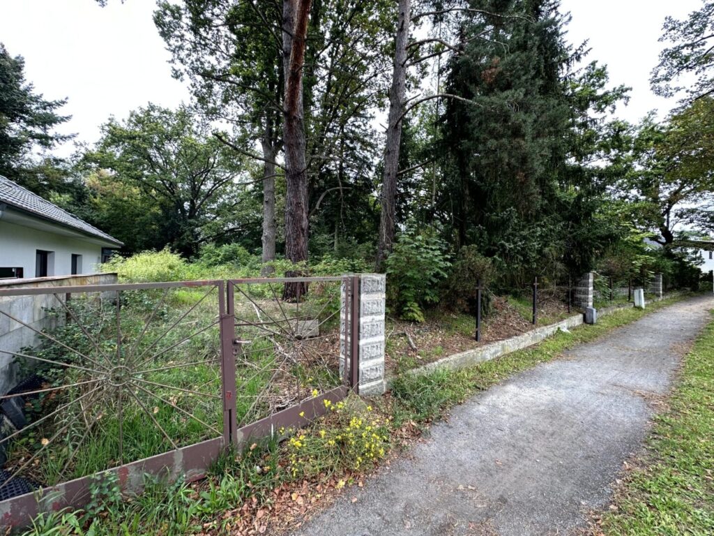 Zufahrt Grundstück I