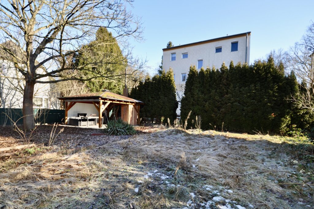 Garten hinten IV