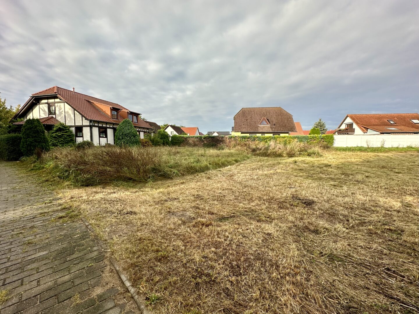 Bild III