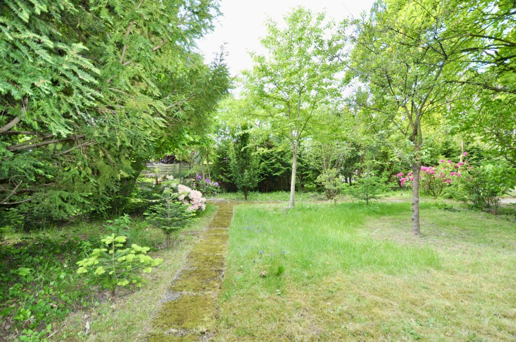 Gartenansicht II