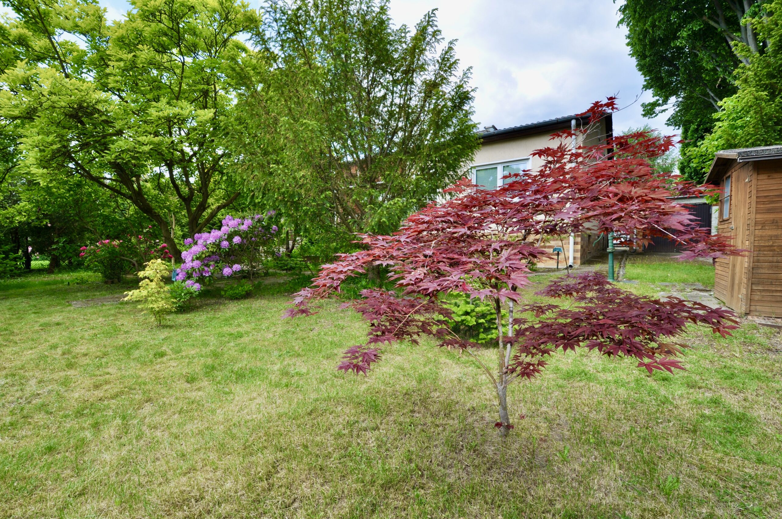 Haus gartenseitig II