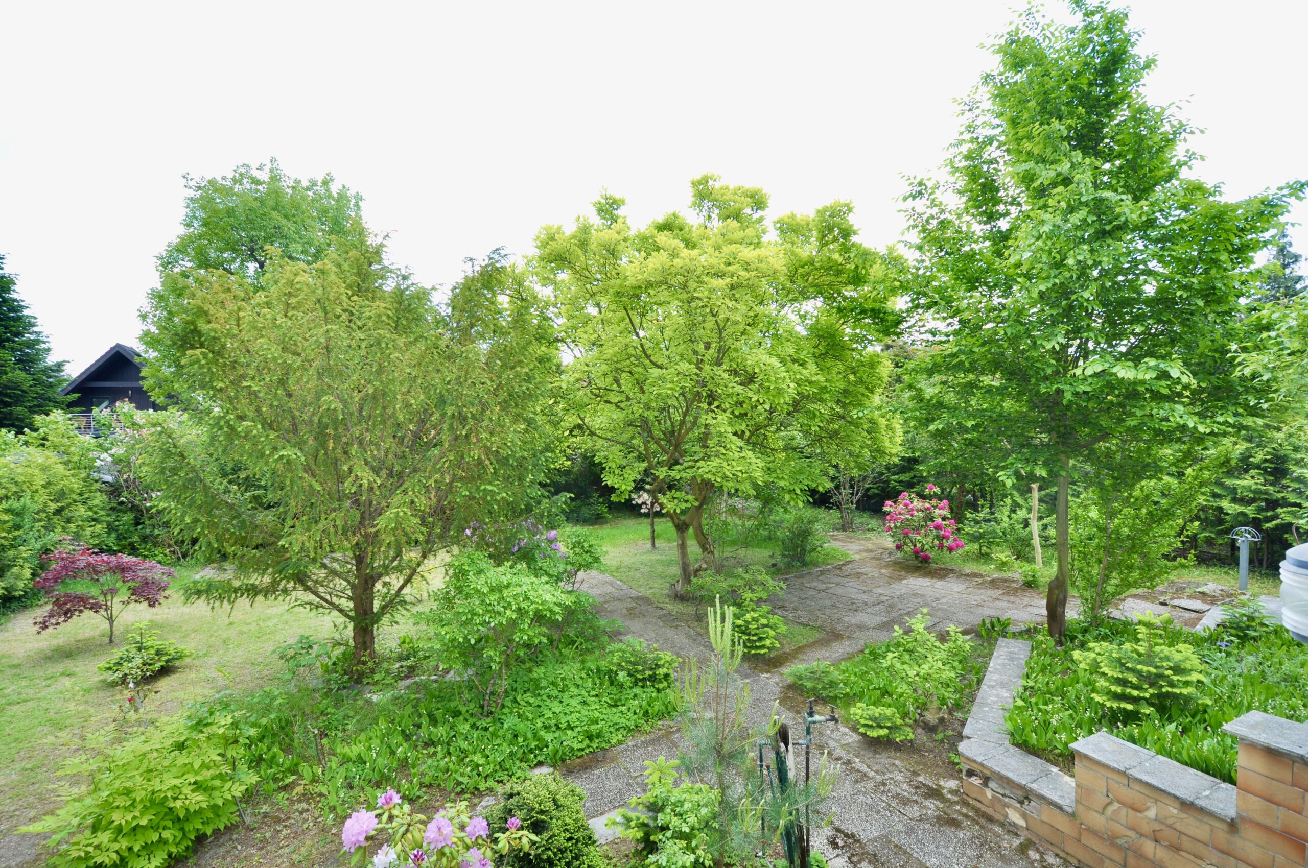 Panorama Garten