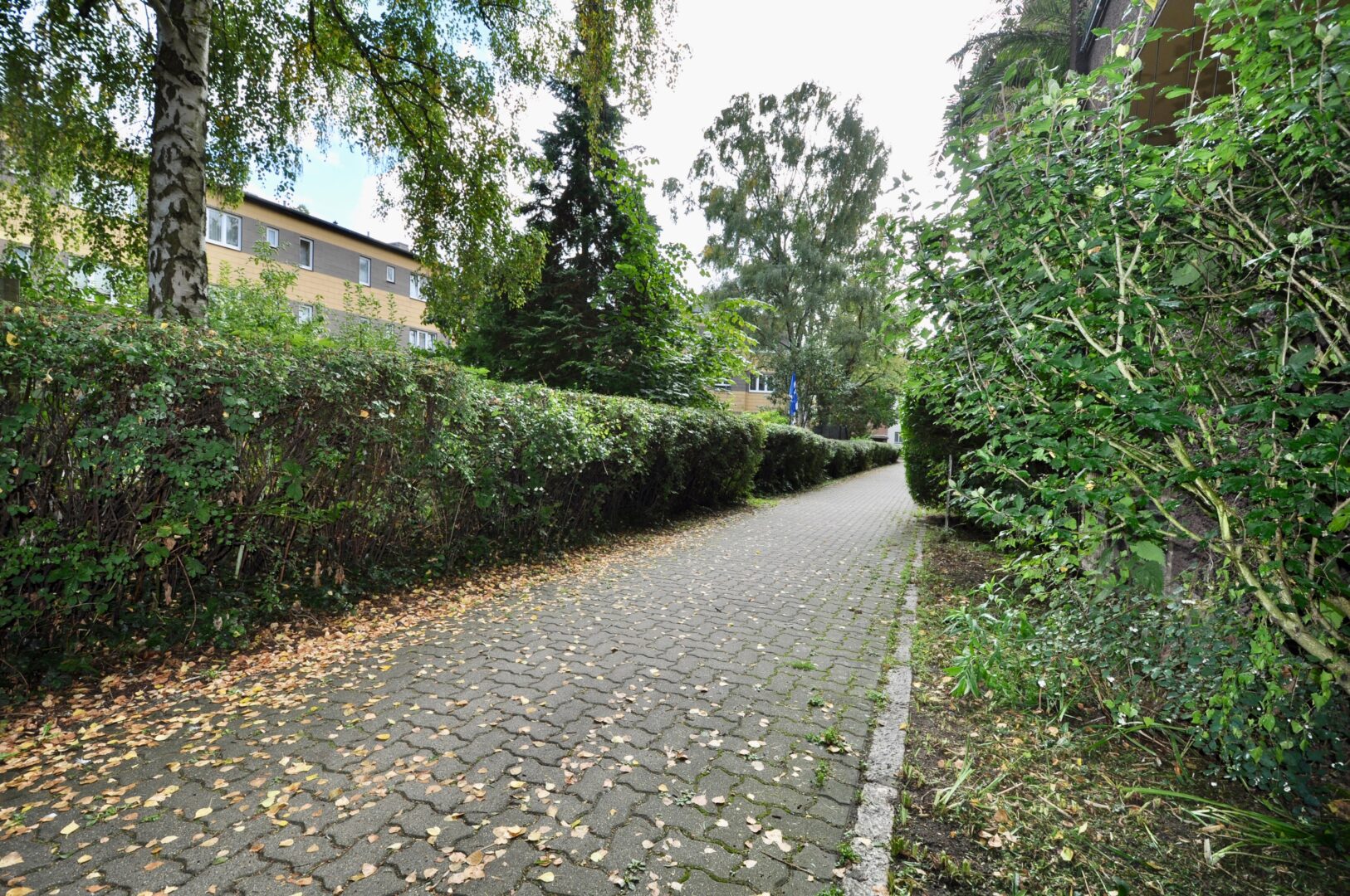 Umgebung I